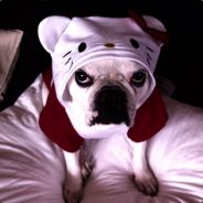 Bullcat - steam id 76561197971410877