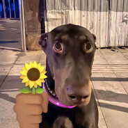 放心，我会跑得很快