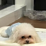 look宝宝\(￣︶￣*\))