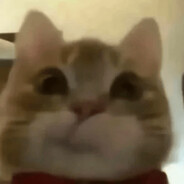 kroj