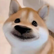 别骂了我是菜狗