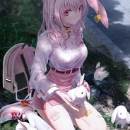 我的潇洒分你一半