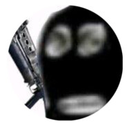 牛子
