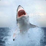 s7iM - steam id 76561197964210995