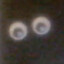 lukasmueller663