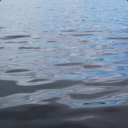 way2pro.com // v0z =D