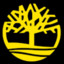 Timothee_43