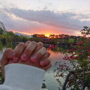 河南第一实名恋爱脑