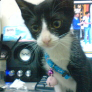 带赵云七进七出