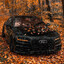 wolfan4