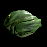 Frog Rock avatar