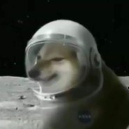 astrodog