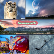 Stormleopard#91 avatar
