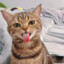 Leo