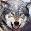 silverfang675