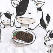 a cow