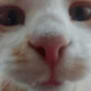ZXQXW