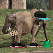 Zentahn