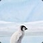 ❤ Pinguin Lover❤