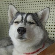 读圣贤书行禽兽事