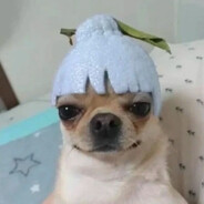 玩家头像