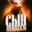 Хог 6.9