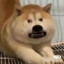 看病要花钱