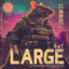 rat large