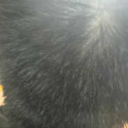 超级宇宙无敌霹雳大王