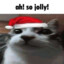 Jolly