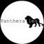 Panthera leo