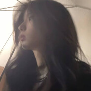 等车窗映上白桦