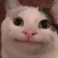 910