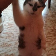 WolaXioo Key-Drop.pl