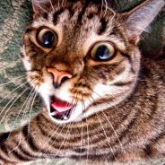 Дядя Игорь:)