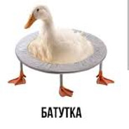 goose avatar