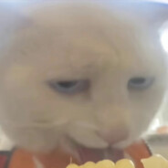 你的脸怎么红了