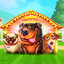 dog house