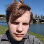 D4lv - steam id 76561197961693217