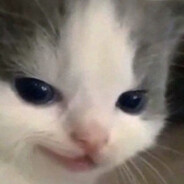 kelvio avatar