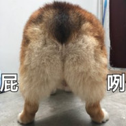 大哥沒文化但大哥愛你