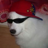 Dubka