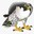 Peregrine (Prophetic Peacock)