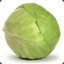 savage cabbage