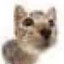 rrrrrrrrrrr