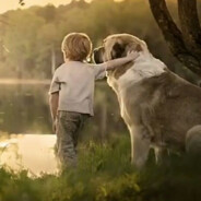 开两枪就当帮忙了