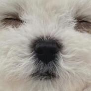 冬季敏感怜颊肉_