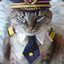 Capt. Cat