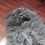 Дар пещерной Пипы