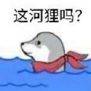 这河狸吗？